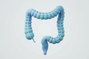 Kalın bağırsak (kolon) anatomisi tıbbi illüstrasyonu
